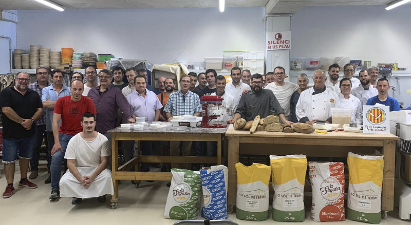 CURS 2019 NOVES FERMENATACIONS I PA PRECUIT